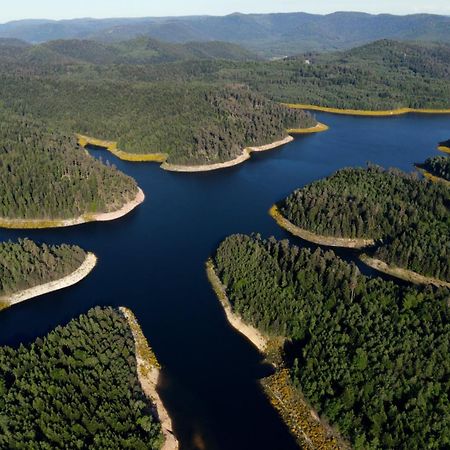 Gite De Rarounette Au Coeur Des Vosges Celles-sur-Plaine Extérieur photo