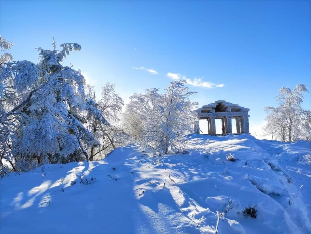 Gite De Rarounette Au Coeur Des Vosges Celles-sur-Plaine Extérieur photo