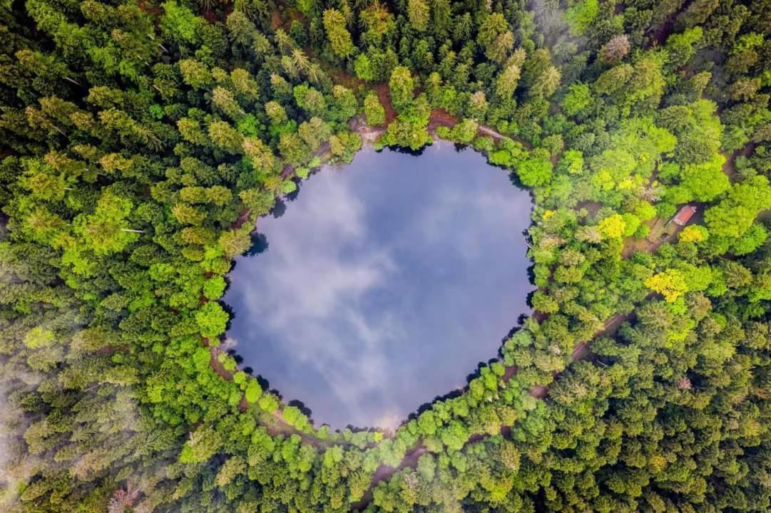 Gite De Rarounette Au Coeur Des Vosges Celles-sur-Plaine Extérieur photo