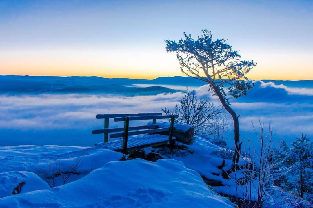 Gite De Rarounette Au Coeur Des Vosges Celles-sur-Plaine Extérieur photo