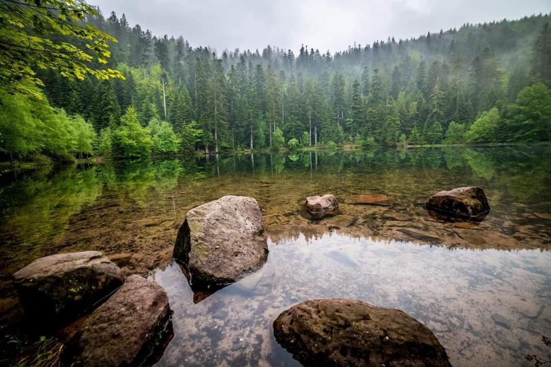 Gite De Rarounette Au Coeur Des Vosges Celles-sur-Plaine Extérieur photo