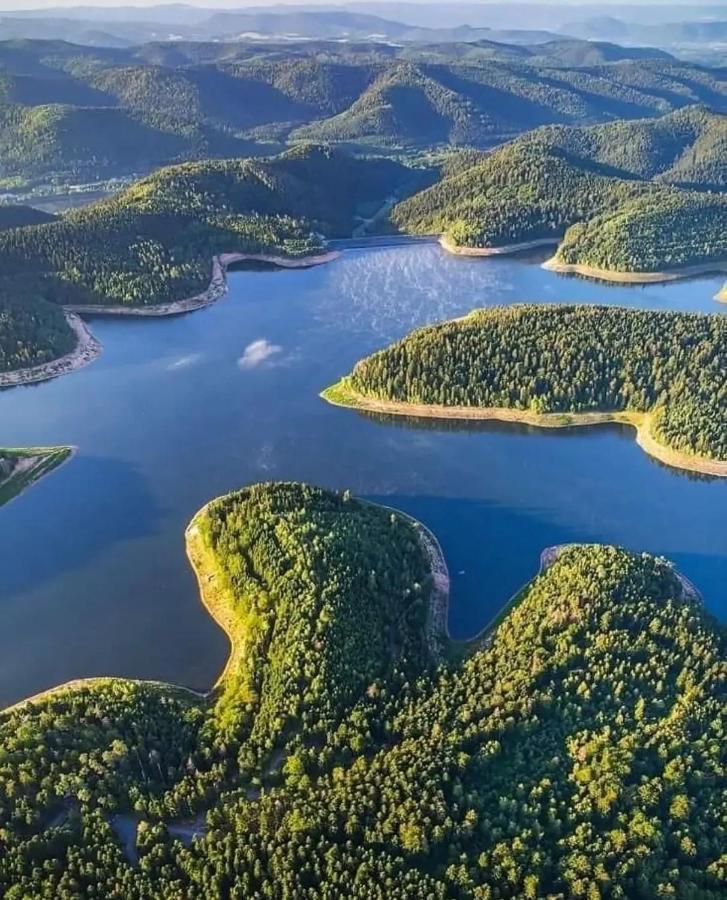 Gite De Rarounette Au Coeur Des Vosges Celles-sur-Plaine Extérieur photo