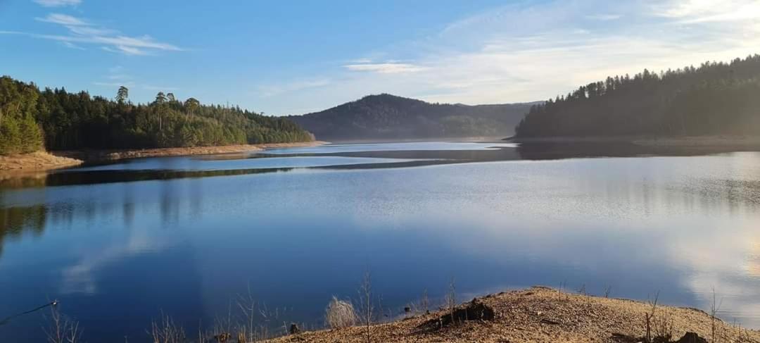 Gite De Rarounette Au Coeur Des Vosges Celles-sur-Plaine Extérieur photo