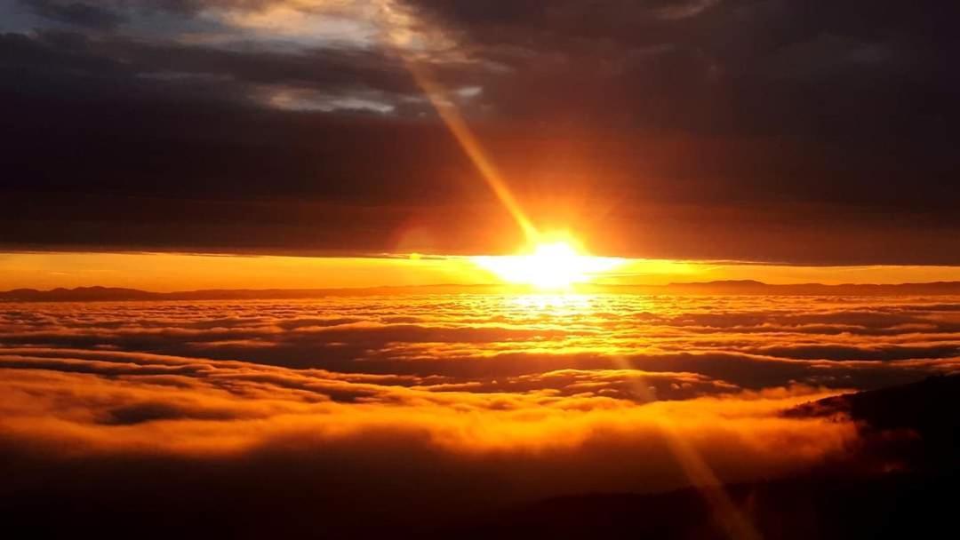 Gite De Rarounette Au Coeur Des Vosges Celles-sur-Plaine Extérieur photo