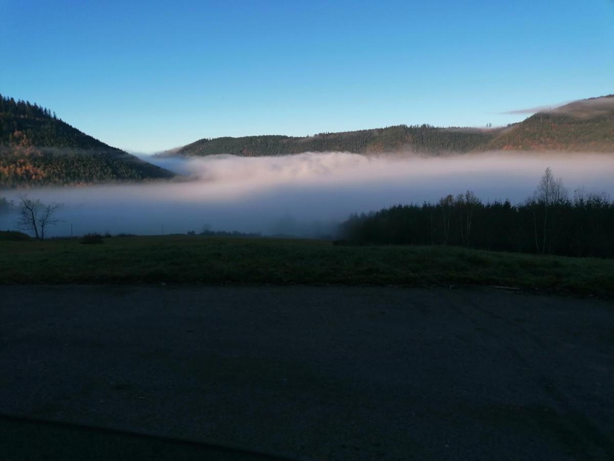 Gite De Rarounette Au Coeur Des Vosges Celles-sur-Plaine Extérieur photo