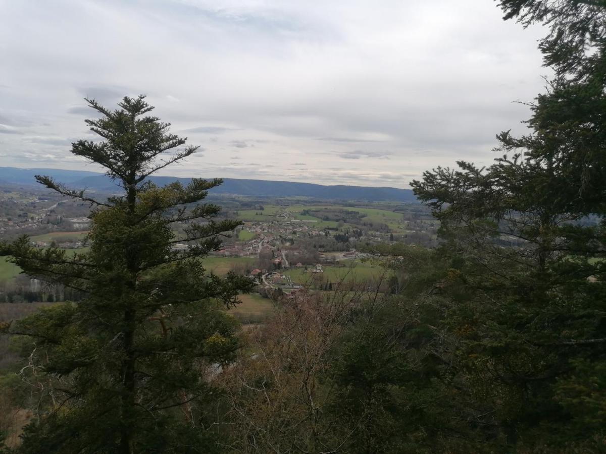 Gite De Rarounette Au Coeur Des Vosges Celles-sur-Plaine Extérieur photo