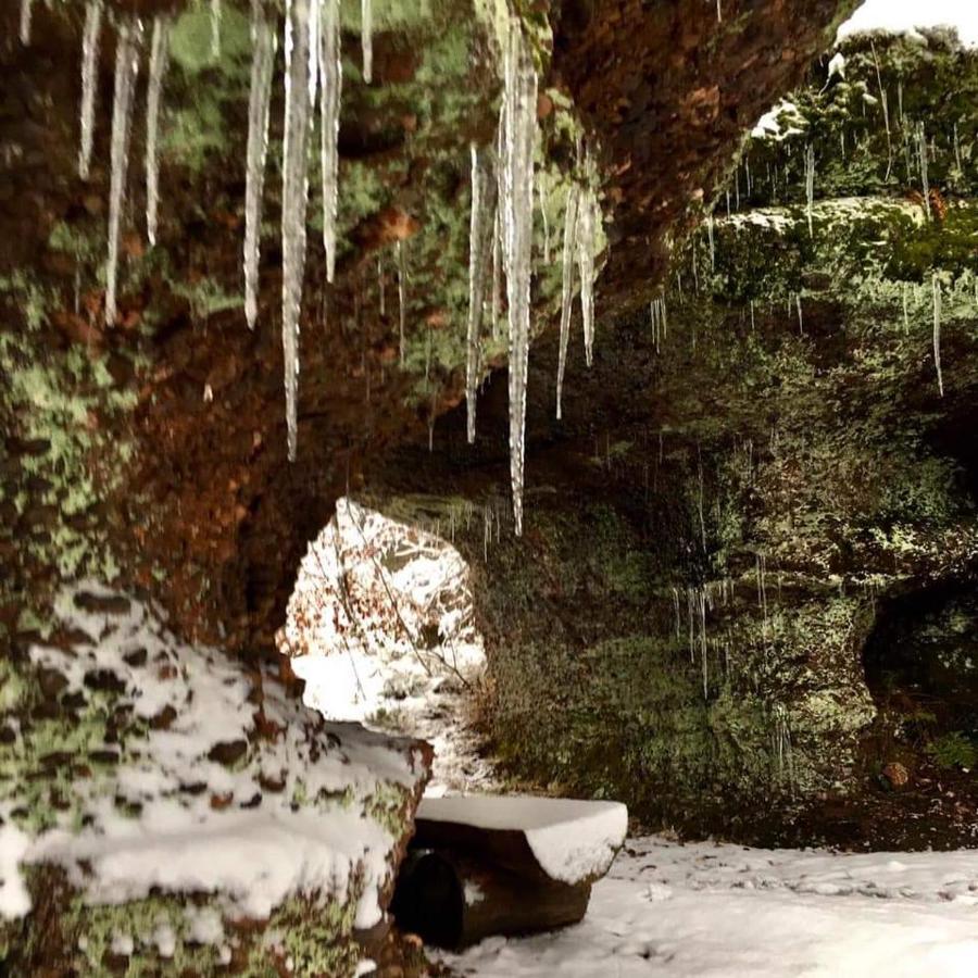 Gite De Rarounette Au Coeur Des Vosges Celles-sur-Plaine Extérieur photo