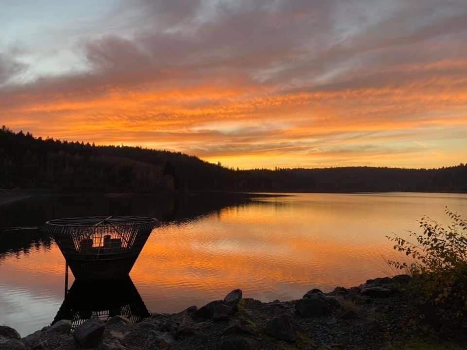 Gite De Rarounette Au Coeur Des Vosges Celles-sur-Plaine Extérieur photo