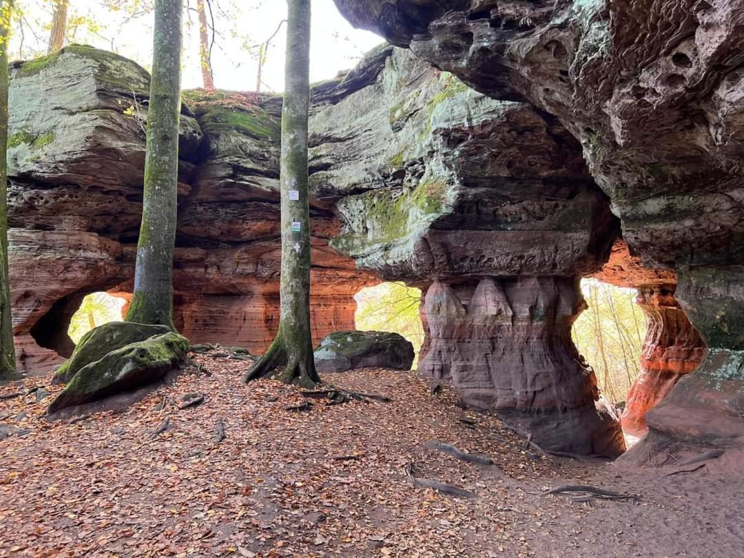 Gite De Rarounette Au Coeur Des Vosges Celles-sur-Plaine Extérieur photo