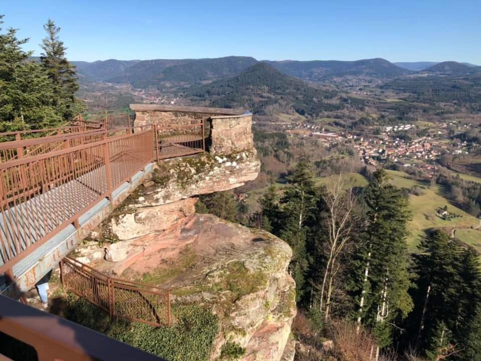 Gite De Rarounette Au Coeur Des Vosges Celles-sur-Plaine Extérieur photo