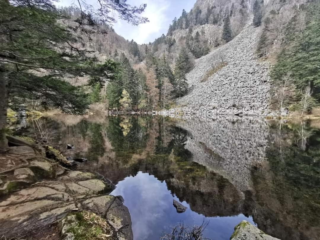 Gite De Rarounette Au Coeur Des Vosges Celles-sur-Plaine Extérieur photo