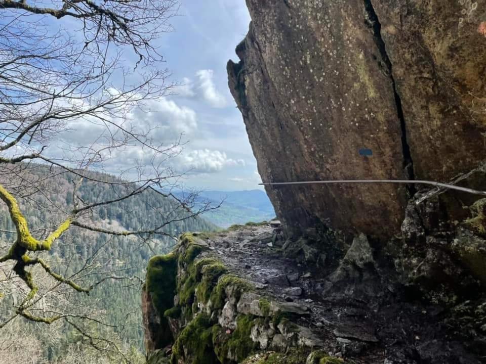 Gite De Rarounette Au Coeur Des Vosges Celles-sur-Plaine Extérieur photo