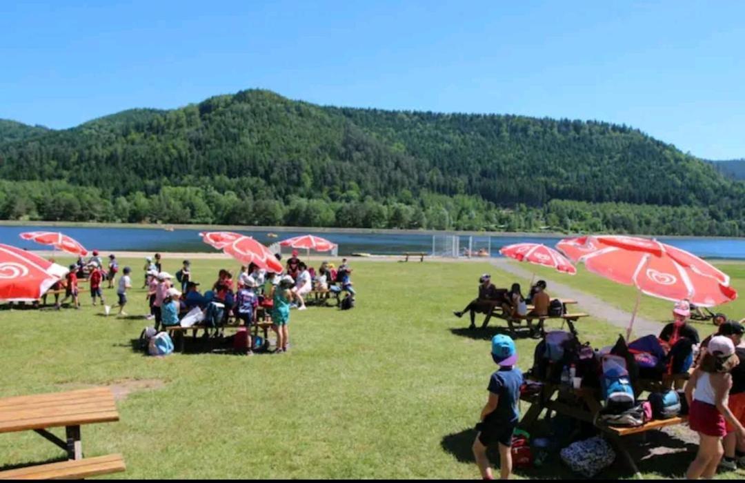 Gite De Rarounette Au Coeur Des Vosges Celles-sur-Plaine Extérieur photo