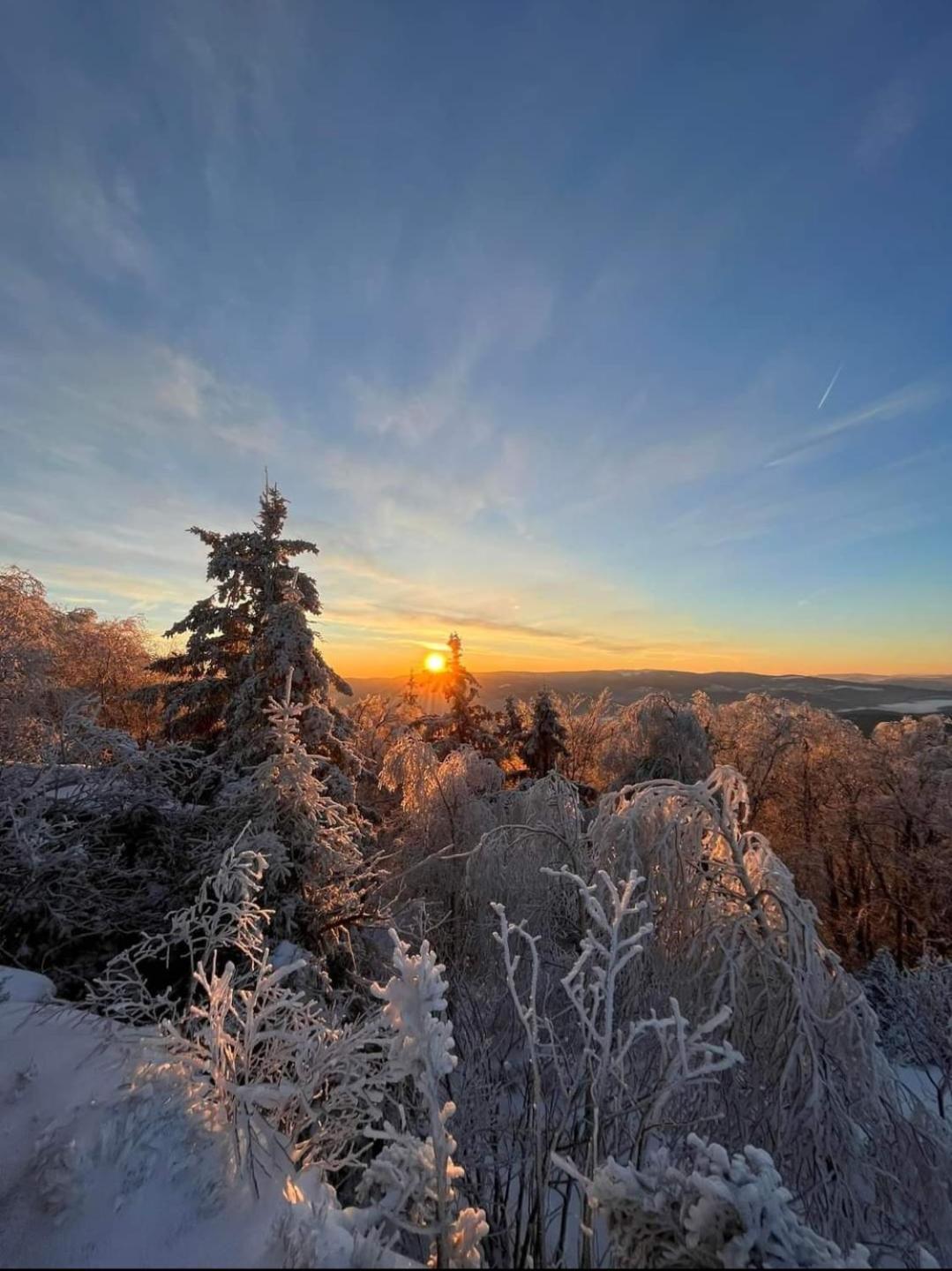 Gite De Rarounette Au Coeur Des Vosges Celles-sur-Plaine Extérieur photo