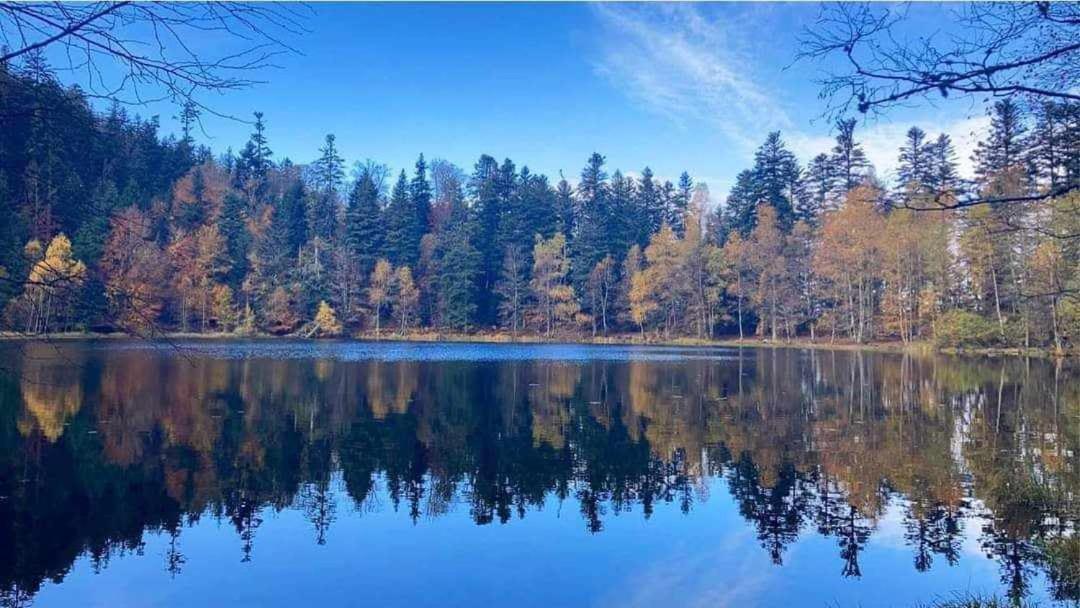 Gite De Rarounette Au Coeur Des Vosges Celles-sur-Plaine Extérieur photo