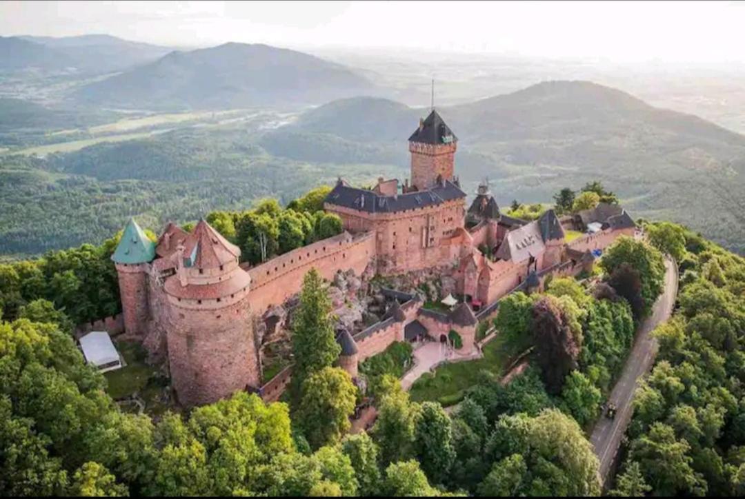 Gite De Rarounette Au Coeur Des Vosges Celles-sur-Plaine Extérieur photo