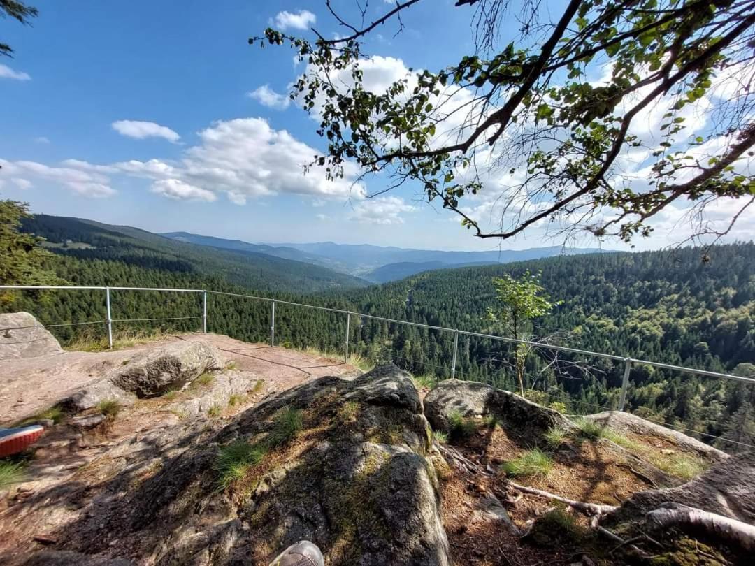 Gite De Rarounette Au Coeur Des Vosges Celles-sur-Plaine Extérieur photo