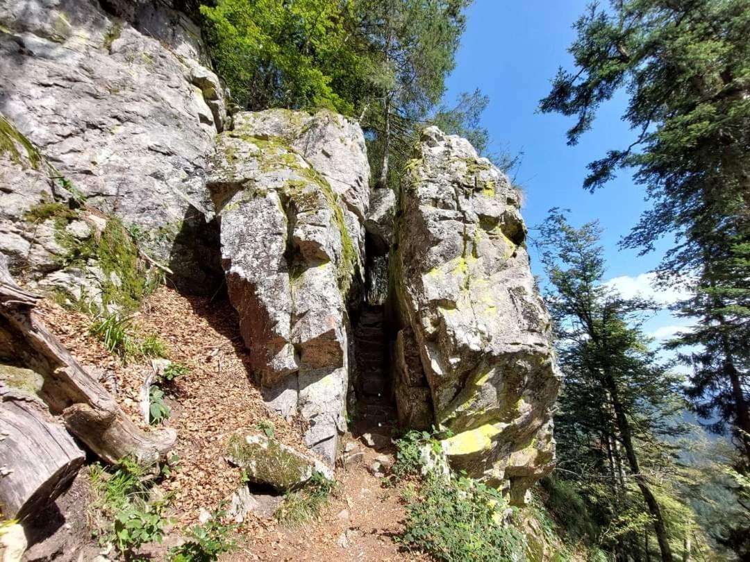 Gite De Rarounette Au Coeur Des Vosges Celles-sur-Plaine Extérieur photo