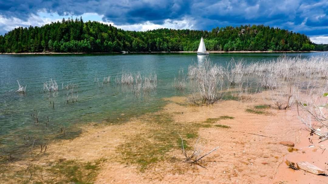 Gite De Rarounette Au Coeur Des Vosges Celles-sur-Plaine Extérieur photo