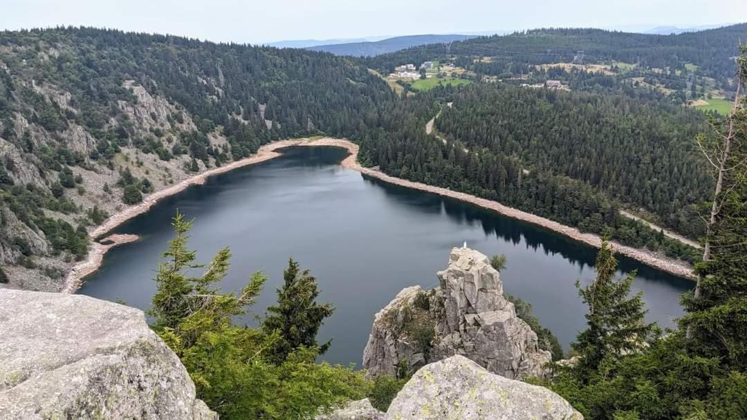 Gite De Rarounette Au Coeur Des Vosges Celles-sur-Plaine Extérieur photo