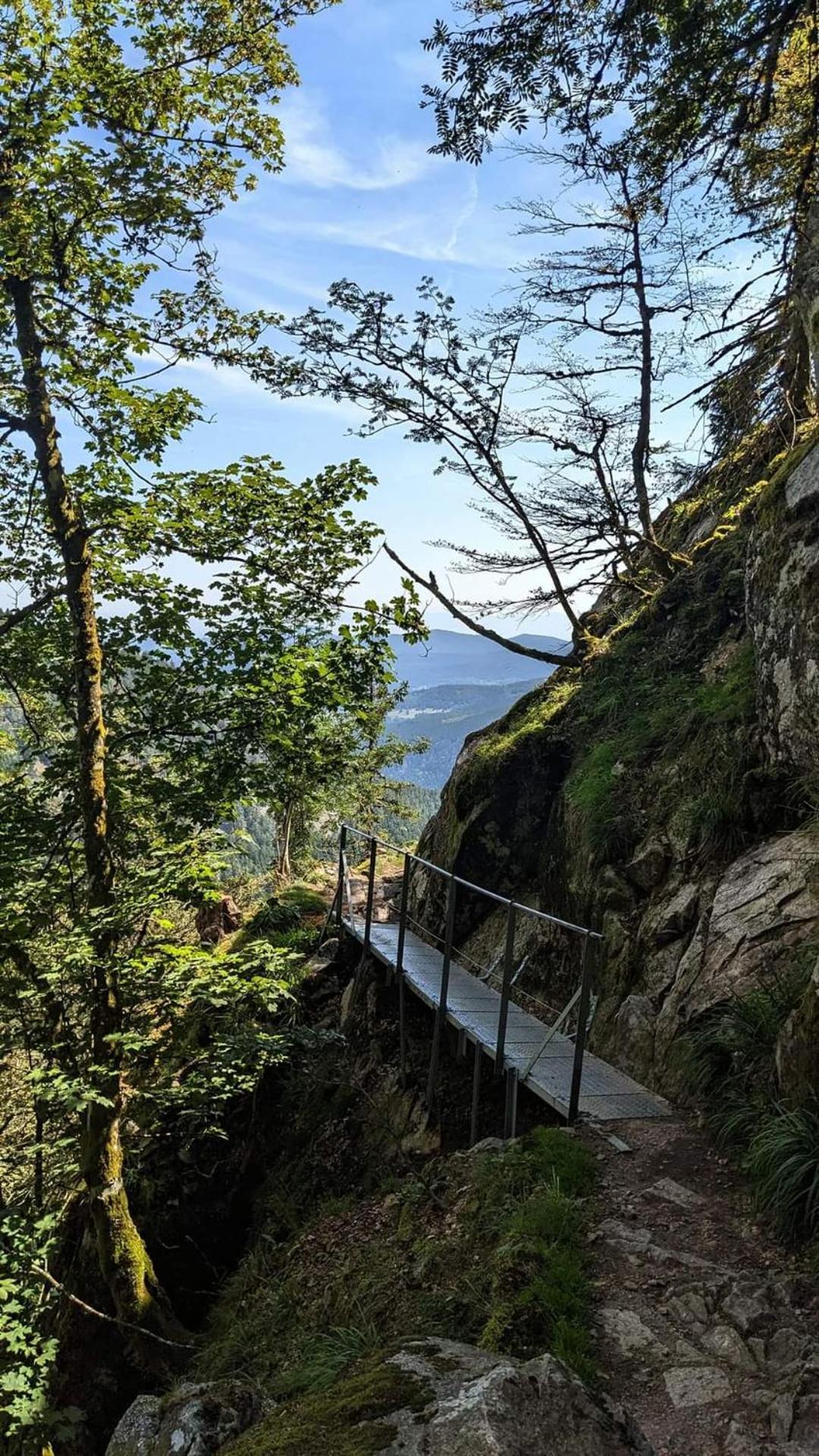 Gite De Rarounette Au Coeur Des Vosges Celles-sur-Plaine Extérieur photo