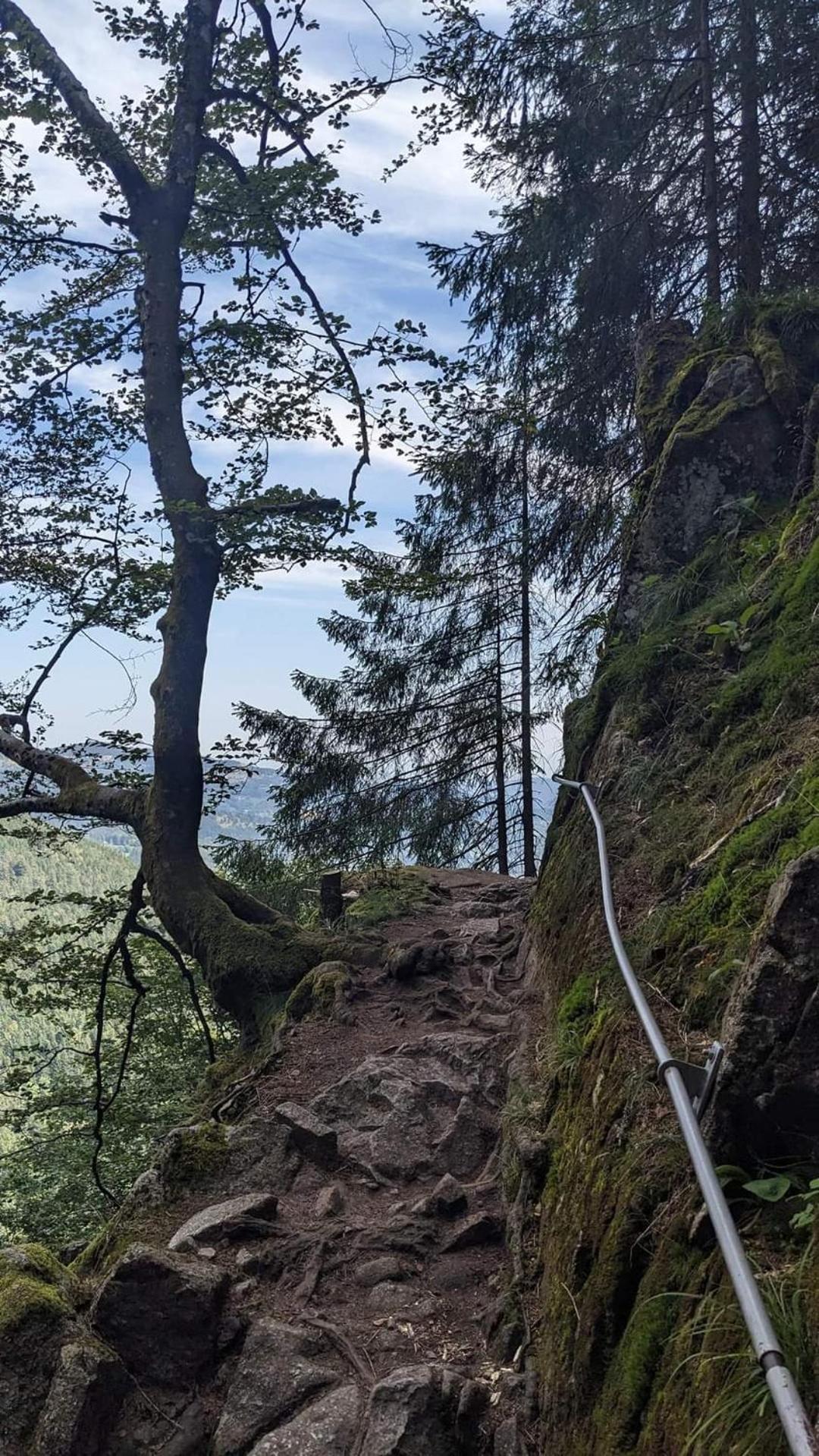 Gite De Rarounette Au Coeur Des Vosges Celles-sur-Plaine Extérieur photo