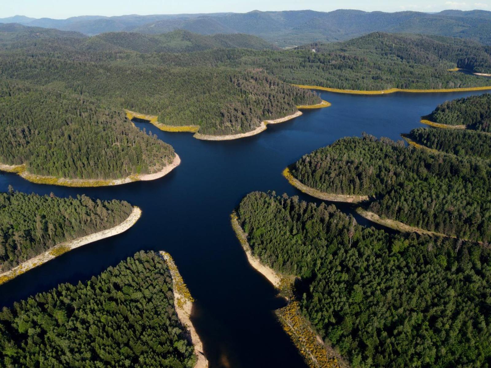 Gite De Rarounette Au Coeur Des Vosges Celles-sur-Plaine Extérieur photo