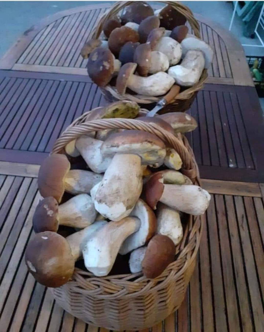 Gite De Rarounette Au Coeur Des Vosges Celles-sur-Plaine Extérieur photo