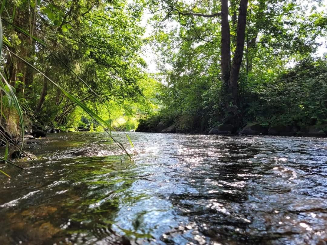 Gite De Rarounette Au Coeur Des Vosges Celles-sur-Plaine Extérieur photo