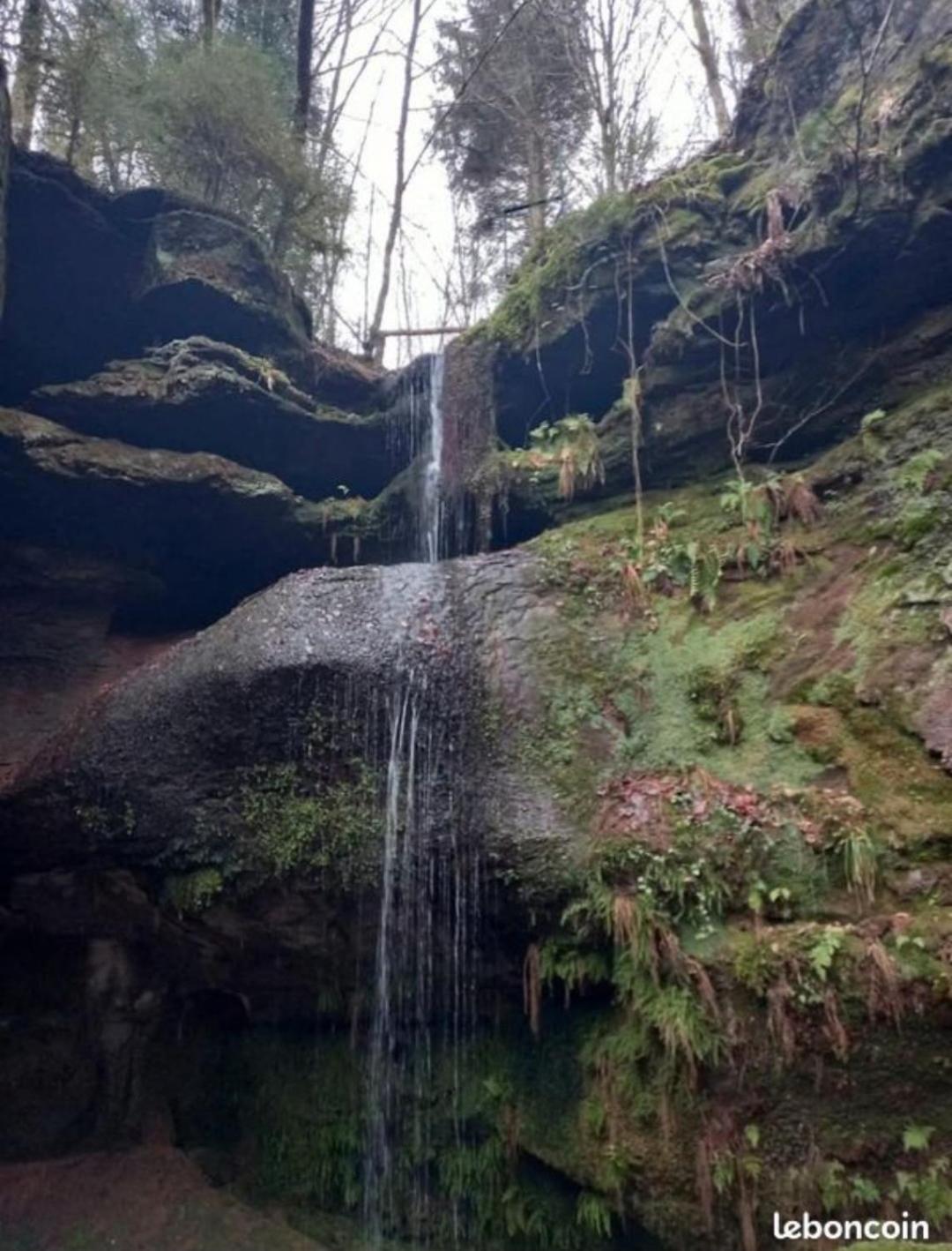 Gite De Rarounette Au Coeur Des Vosges Celles-sur-Plaine Extérieur photo
